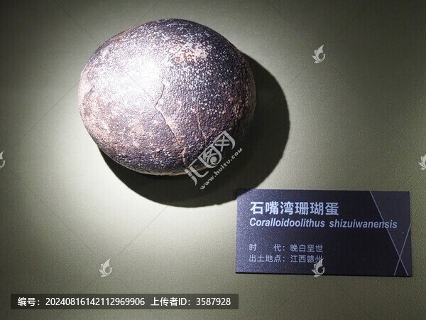 石嘴灣珊瑚蛋