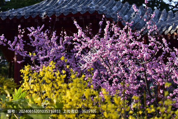 繁花