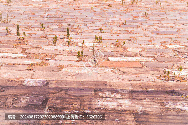 南京中華門視角一瞥