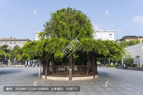 桐城市民廣場