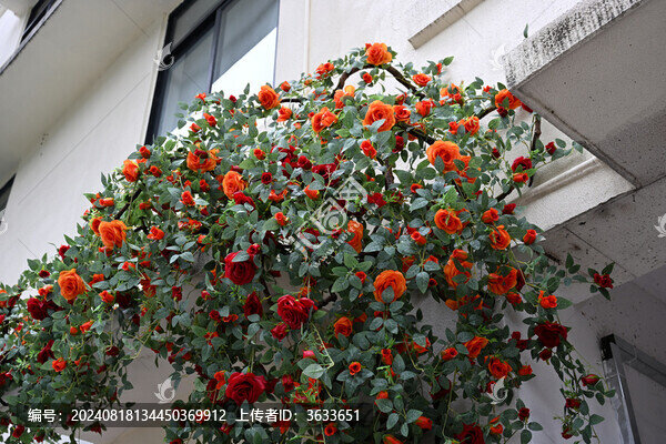 ITI智慧園