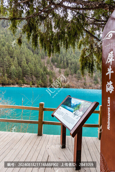 冬天中國四川阿壩九寨溝犀牛海