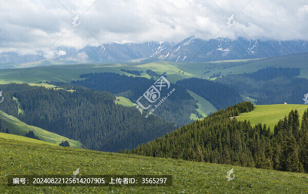 新疆草原喀拉峻景區(qū)