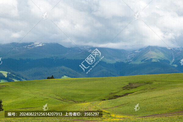 新疆草原喀拉峻景區(qū)