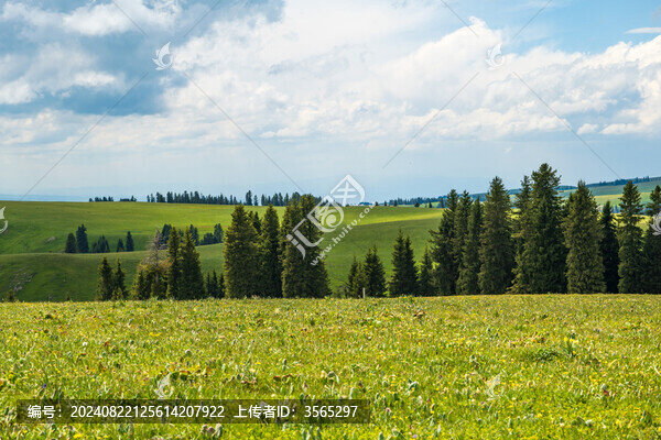 新疆草原喀拉峻景區(qū)