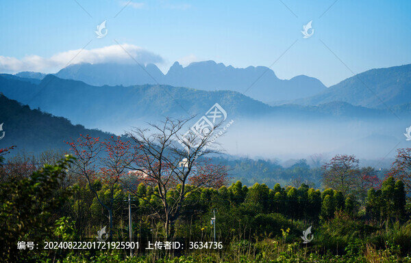 木棉云霧山水畫