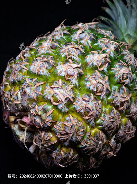 完整的菠蘿鳳梨