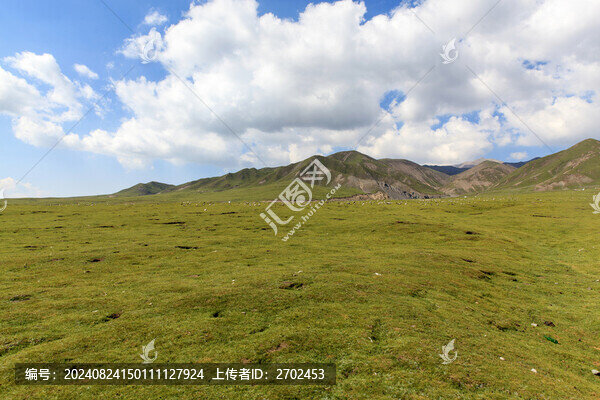 青海貴德巴卡臺(tái)草原