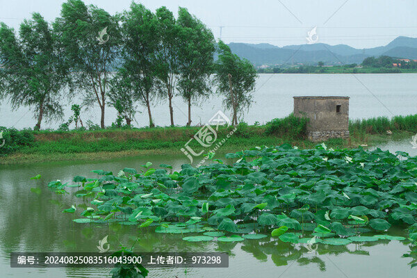 武穴市馬口湖風(fēng)景