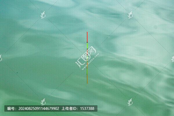 魚漂