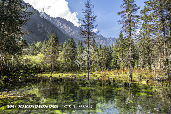 川西霸王山自然風(fēng)光