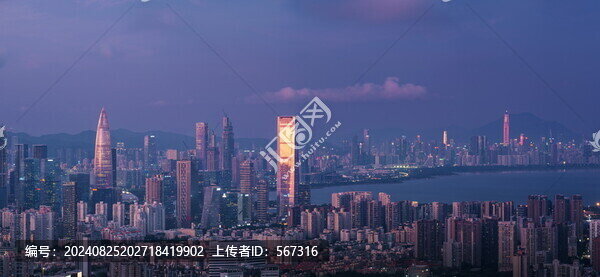 深圳灣全景