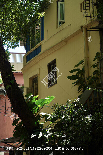 廈門市思明區(qū)老城區(qū)街景虎園路