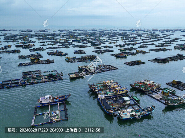 海陵島魚(yú)港