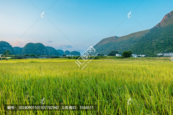 九月份的興義萬峰林田園風(fēng)光