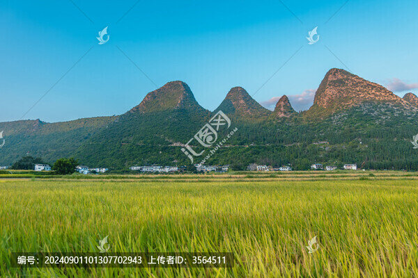 九月份的興義萬(wàn)峰林田園風(fēng)光