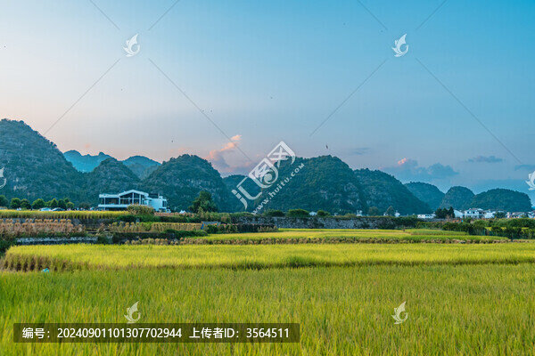 九月份的興義萬峰林田園風光