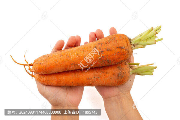 帶泥土的胡蘿卜