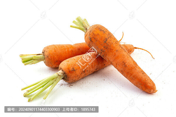 帶泥土的胡蘿卜