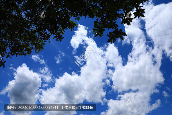 藍天白云