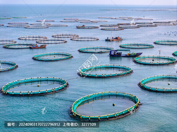 南麂島海上牧場(chǎng)水產(chǎn)養(yǎng)殖風(fēng)光