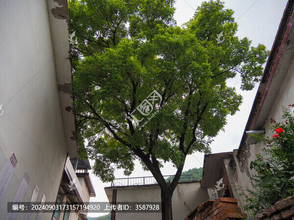 濟(jì)南玉河泉村的風(fēng)景風(fēng)光