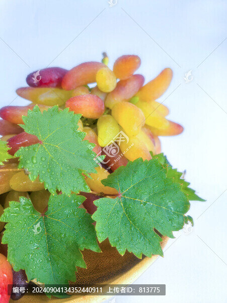水珠綠葉金手指