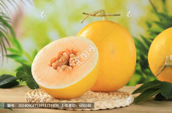 哈密瓜蜜瓜