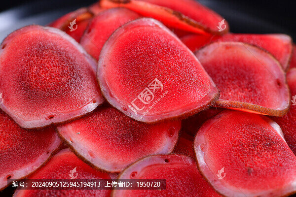 鮮梅花鹿茸
