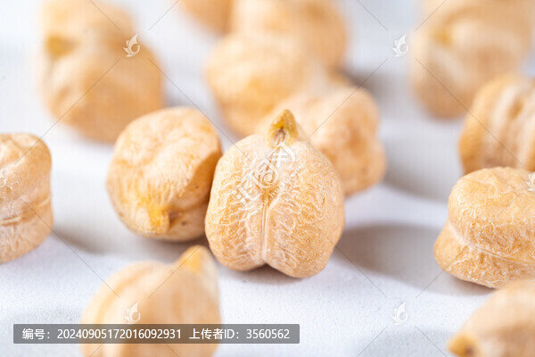 雞心豆生鷹嘴豆特寫白底圖