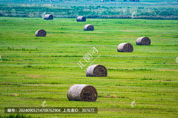 內(nèi)蒙古大草原風光