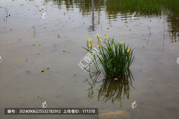 瑤臺(tái)山
