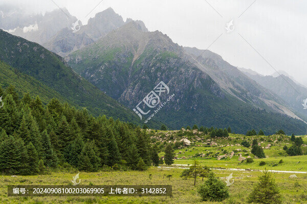 山