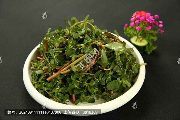 涼拌馬齒莧