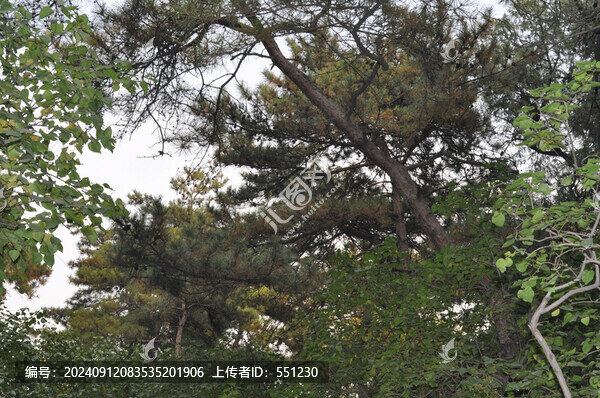 北京頤和園