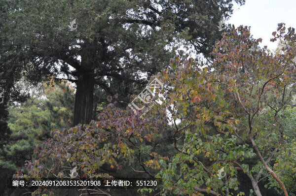 北京頤和園