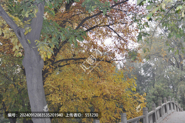 北京頤和園