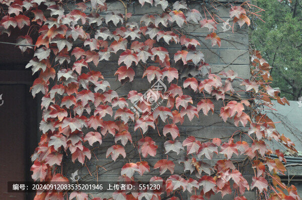 北京頤和園