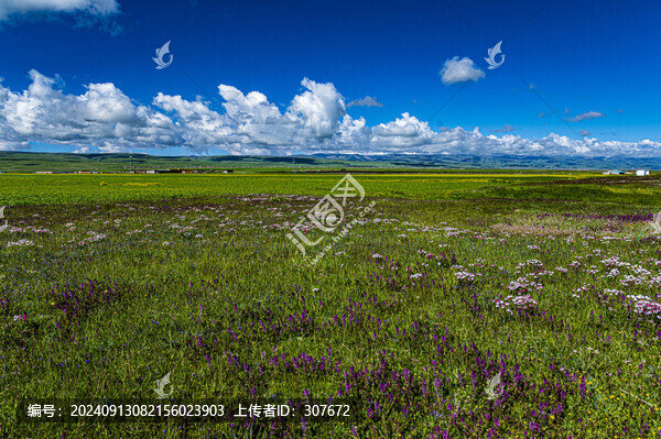 青海湖風(fēng)光