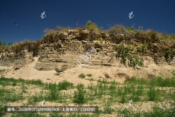 河北省石家莊正定縣崖沙燕保護區(qū)
