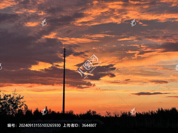 夕陽
