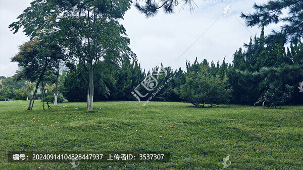 公園綠地