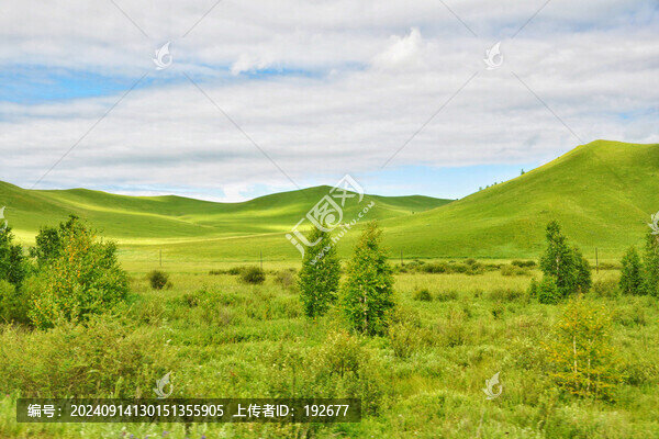 呼倫貝爾大草原