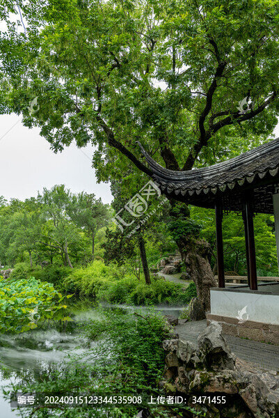 蘇州拙政園