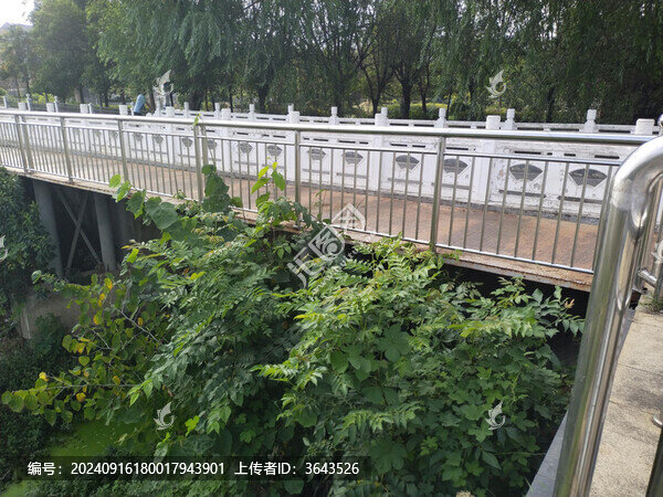 小橋樹蔭