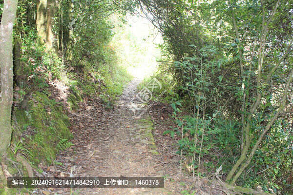 路