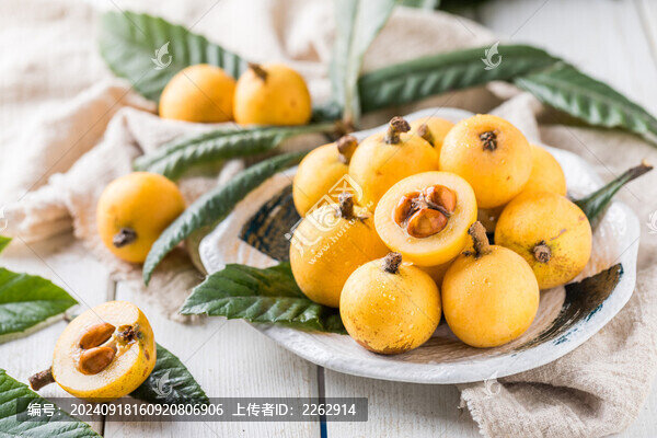 東山白玉枇杷