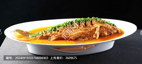 黃河大鯉魚