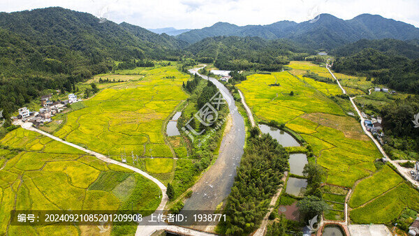 韶關(guān)乳源洛陽鎮(zhèn)田心圍村金色田園