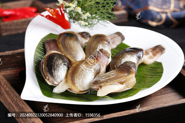 北海蚌仔